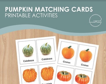 Pumpkin matching cards, Preschool matching cards, Montessori matching cards, Fall activity, Thanksgiving activity, Digital download