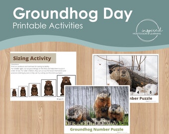 Groundhog Day Printables - Puzzles de numéros de séquence, Activité de dimensionnement, Préscolaire, Montessori, Homeschool