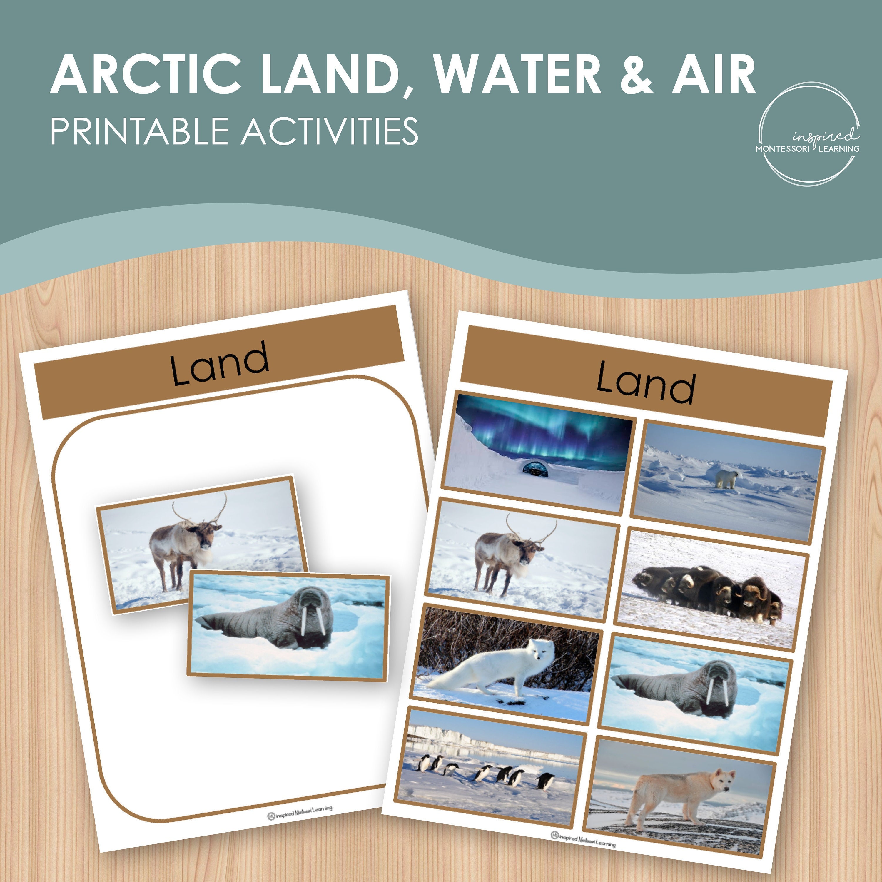 Arctic Regions Land, Air, and Water Printable Activity, Montessori ...