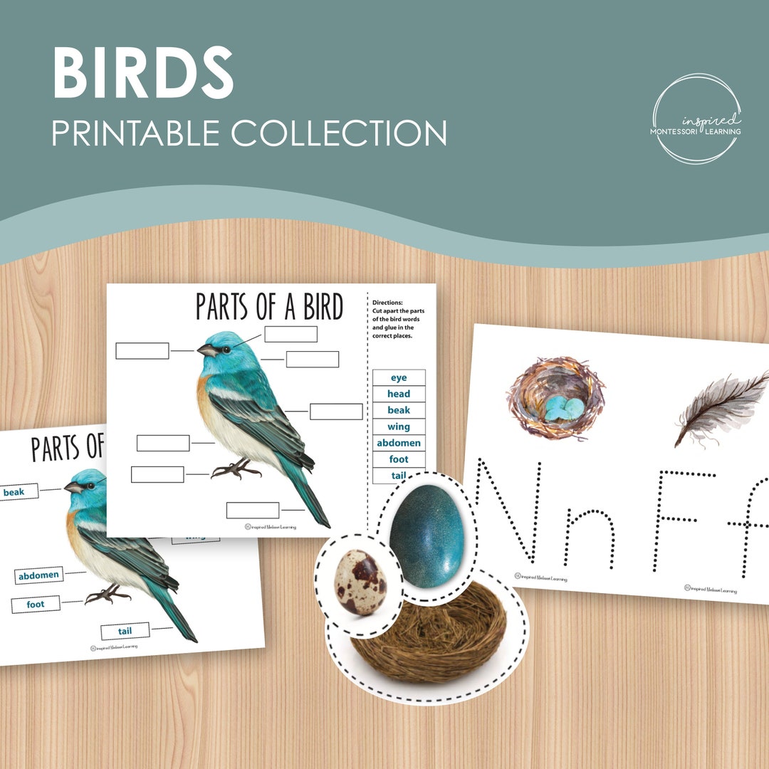 Birds Printable Collection Montessori Inspired Animal