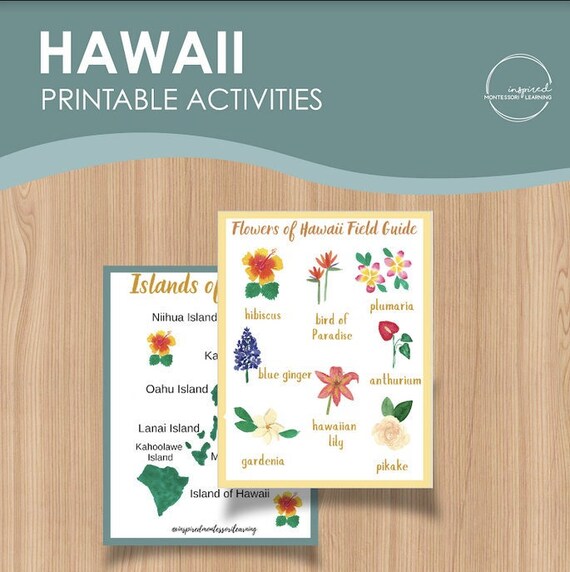 hawaii printable activity plant flashcards preschool etsy