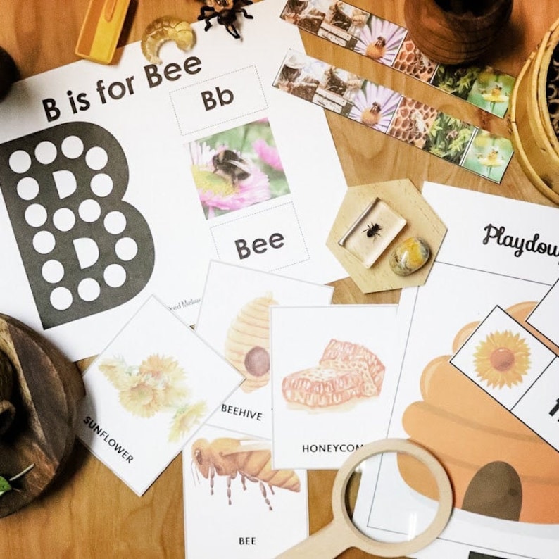 May include: A set of educational flashcards for children featuring the letter B and the word "Bee". The cards include images of a bee, a beehive, a honeycomb, and a sunflower. The cards are printed on white cardstock and have a black border. The cards are designed to help children learn about the letter B and the word "Bee".
