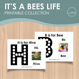 May include: Two printable alphabet cards for a bee-themed learning activity. The first card features the letter H with a black and white polka dot pattern and the word "Hive" written below. The second card features the letter B with a black and white polka dot pattern and the word "Bee" written below. Both cards include a picture of the letter, a picture of the word, and a picture of the object.