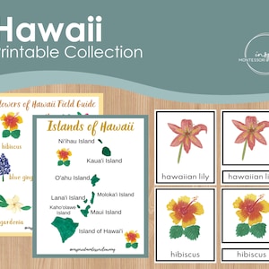Hawaii Blumen & Karte druckbare Aktivität, Blume 3 Teilkarten, tropische Blumen, Karte von Hawaii, zu Hause druckbar, Montessori inspiriert