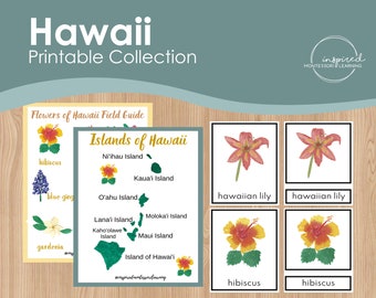 Hawaii Flowers & Map Printable Activity, Flower 3 part cards, tropical flowers, map of Hawaii, homeschool printable, Montessori inspired