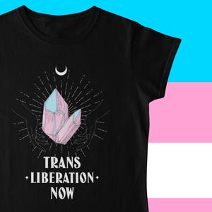 T-shirt de manifestation pour la libération des transgenres, fierté transgenre non binaire, t-shirt Gender Queer, LGBTQ+, vêtements de fierté, droits des trans,