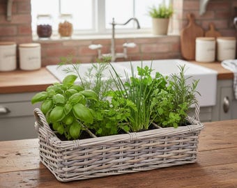 Chunky Rattan 6 section Herb Planter - Fully Lined