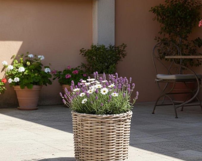 Thick & Sturdy Fully Lined Rattan Planters - Available in 3 Sizes