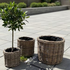 Thick & Sturdy Fully Lined Rattan Planters - Available in 3 Sizes