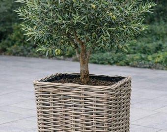 Strond & Sturdy Chunky Rattan Square Planters on Feet - Fully Lined