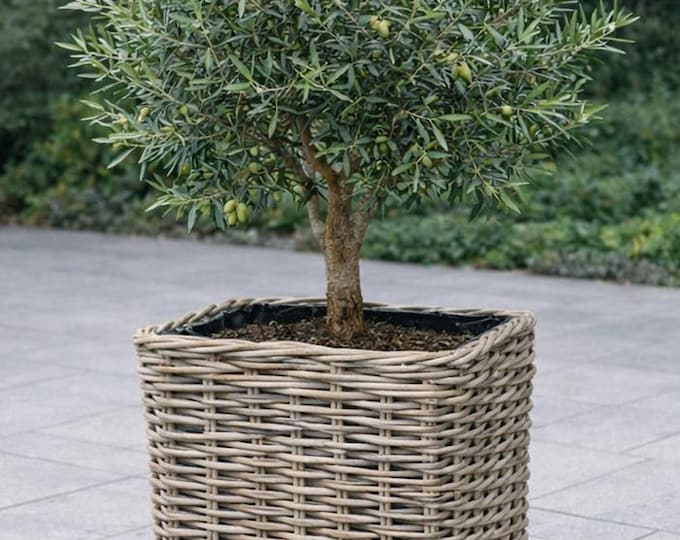 Strond & Sturdy Chunky Rattan Square Planters on Feet - Fully Lined