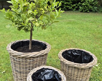 Large, Thick & Sturdy Fully Lined Lipped Rattan Planters - Available in 3 Sizes