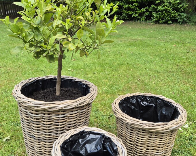 Large, Thick & Sturdy Fully Lined Lipped Rattan Planters - Available in 3 Sizes