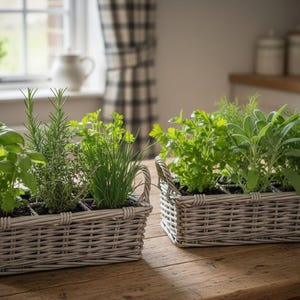 Chunky Rattan Herb Planter - Fully Lined 2 Sizes Available