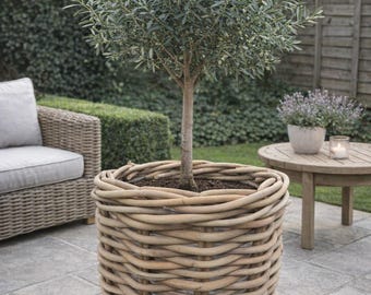 Premium Natural Rattan Chunky Round Planter - Fully Lined 55cm