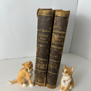 Op de afbeelding: Twee antieke bruine lederen boeken met gouden letters op de ruggen. De boeken zijn getiteld "SANDERS Fremd-Wörterbuch" en worden gebruikt als boekenleggers. Twee oranje en witte keramische kattenbeeldjes staan aan weerszijden van de boeken.