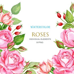 Clipart ad acquerello di rose. Clipart di rose rosa. Clipart floreale png. Fiori disegnati a mano. Download istantaneo, Biglietti di nozze, Cartolina, Invito