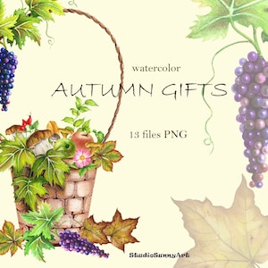 Acquerello clipart autunno. Funghi di bosco. Foglie autunnali png. Frutta. Fiore di rosa canina. Per creazioni fai da te, scrapbooking. Download istantaneo.