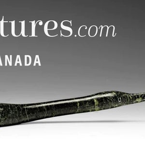 8&quot; SIGNATURE Loon by Ning Ashoona *Gamma* Inuit Sculpture Soapstone Inuit Original Inuit Carving Serpentine Stone New Canadian