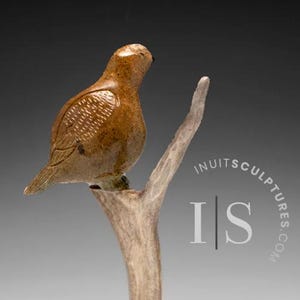 9&quot;Roosting Ptarmigan in Tree by Peter K. *Cat Nap* Inuit Sculpture Soapstone Inuit Original Inuit Carving Serpentine Stone New Canadian Gift
