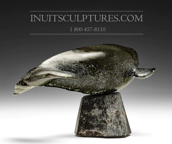 10" Beluga Whale by Louie Uttaq from Gjoa Haven Inuit Sculpture art Inuit Original Inuit Soapstone Carving Serpentine Stone New Canadian