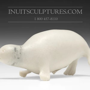 6&quot; Sweet Seal by Adrian Arnauyumayuk *Skippy*  Inuit Sculpture Soapstone art Inuit Original Inuit Carving Serpentine Stone New Canadian Gift
