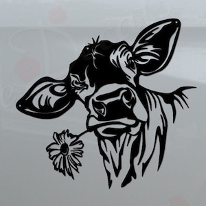 May include: Black and white silhouette of a cow's head with a flower in its mouth. The decal is on the back of a white pickup truck. The truck has a chrome bumper with the words "Rosie Decals" in red letters.