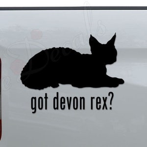May include: A white pickup truck with a black silhouette of a Devon Rex cat and the text "got devon rex?" on the back.