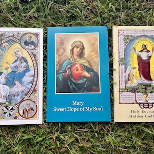 Raccolta di libri cattolici tradizionali, Beata Vergine Maria, Santa Eucaristia, Meditazione per il Rosario delle 15 Decadi, Vita spirituale