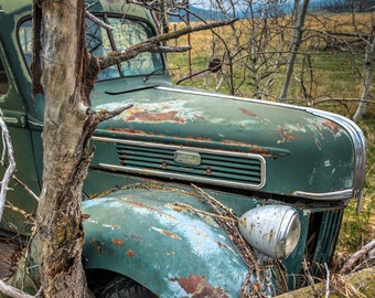 Antique Green Vintage Retro Abandoned Classic Ford Pickup Truck Sits In An Overgrown Rural Field -Fine Art Photography Prints, Canvas, Metal