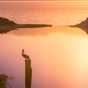Sharing A Peaceful Sunset Over The Desolate Salton Sea In Southern California With A Pelican - Fine Art Photography Prints, Canvas, Metal