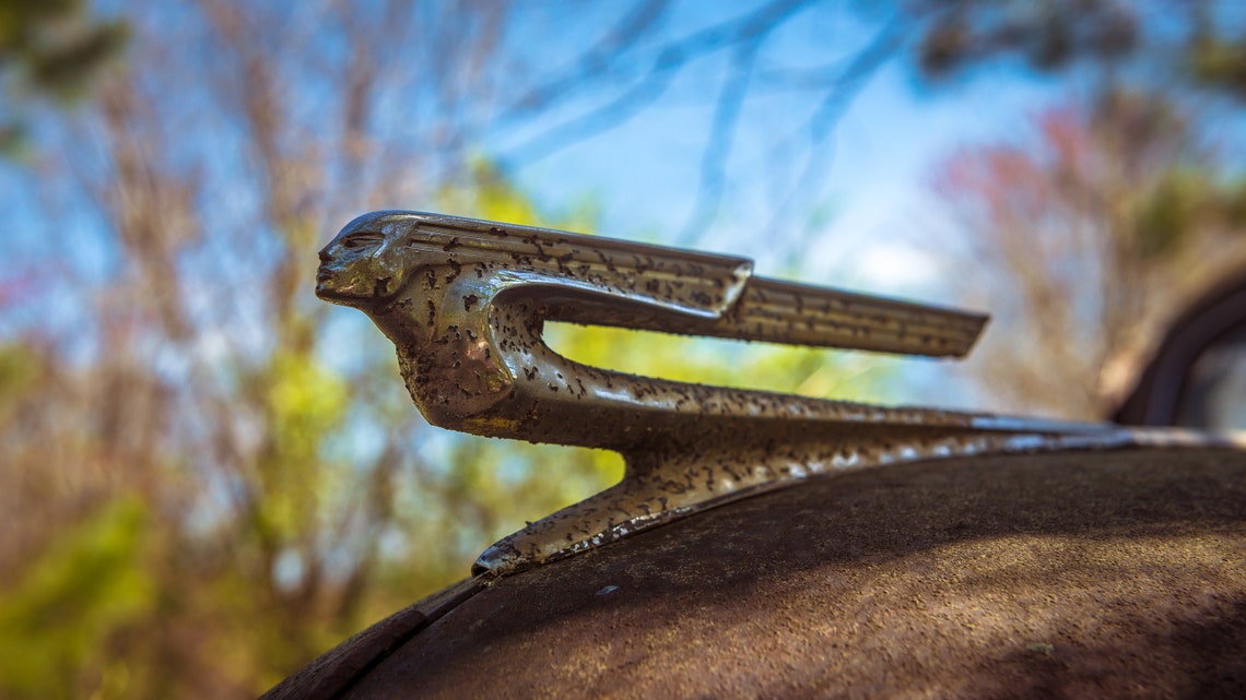 Retro Chevy Chrome Flying Lady Hood Ornament on A Rusty Abandoned 1941
