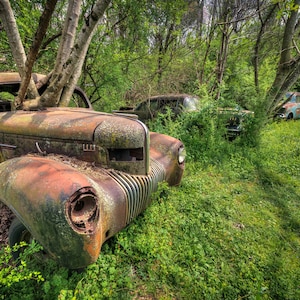Rusty Classic Vintage 1939 Chrysler Imperial Overtaken By Trees At The Old Car City USA Junkyard -Fine Art Photography Prints, Canvas, Metal