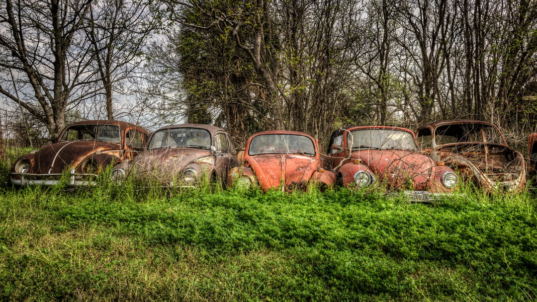 Line of Abandoned Rusty Volkswagen Beetles in A Rural Texas Field ...
