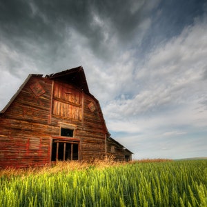Old Weathered Red Barn Abandoned In A Lush Green Rural Countryside Field, Moody Rural Photo Art - Fine Art Photography Prints, Canvas, Metal