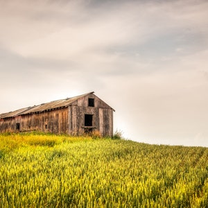 Weathered Farm Shack Abandoned In A Lush Green Rural Countryside Field, Moody Rural Photo Art - Fine Art Photography Prints, Canvas, Metal
