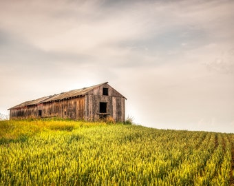 Weathered Farm Shack Abandoned In A Lush Green Rural Countryside Field, Moody Rural Photo Art - Fine Art Photography Prints, Canvas, Metal