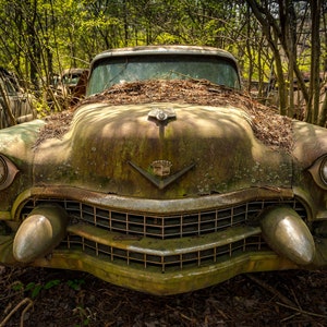 Rusty Old Vintage Classic Cadillac In The Weeds At A Rural Georgia Junkyard Named Old Car City - Fine Art Photography Prints, Canvas, Metal