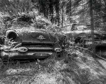 Ghostly Black & White Photo Of A Vintage Classic Oldsmobile Overgrown In The Woods Of Georgia - Fine Art Photography Prints, Canvas, Metal
