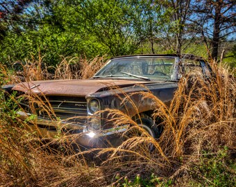 old rusty cars for sale