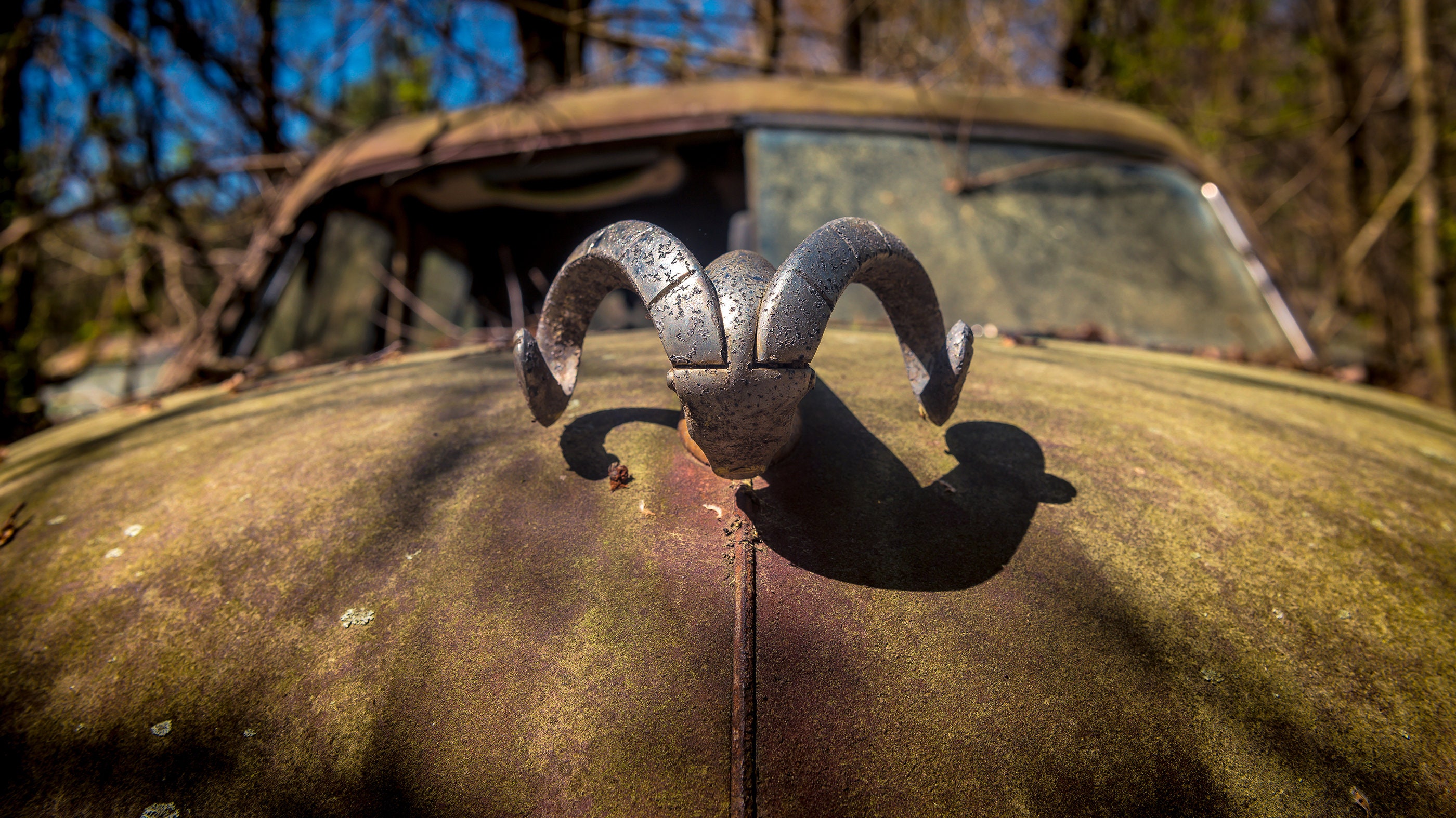 Dodge Ram Hood Ornament for sale Only 4 left at 60
