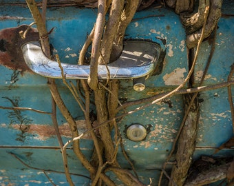 Vines Taking Over A Door Of A Rusty Classic Car, Abandoned Automotive Art, Old Car City Georgia - Fine Art Photography Prints, Canvas, Metal