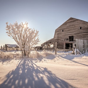 Abandoned Rural Barn Sitting In The Prairie Countryside Under A Blanket Of Fresh Winter Snow - Fine Art Photography Prints, Canvas, Metal