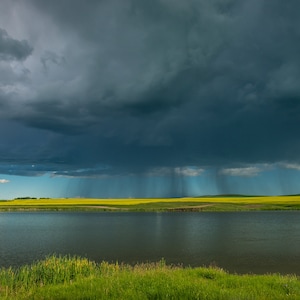Peut inclure: Un ciel sombre et orageux surplombe un champ de fleurs jaunes et un plan d'eau calme. Le soleil brille à travers les nuages, créant un contraste saisissant.