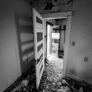 田舎の草原で発見された荒廃した廃屋の2つの開いたドアと影 - ゴシックファインアート写真プリント、キャンバス、金属