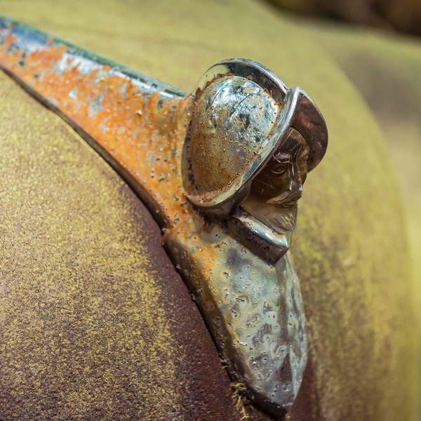 Car Hood Ornament - Etsy