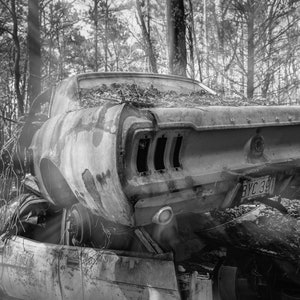 Ghostly Vintage 60s Mustang Stacked Upon Other Junked Cars In A Forest Junkyard, Black & White -Fine Art Photography Prints, Canvas, Metal