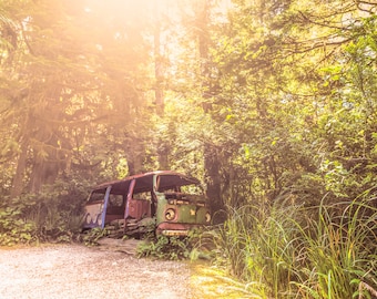 Retro Rusty Antique Classic Volkswagen Bus Overtaken By Weeds At The Tofino Botanical Garden - Fine Art Photography Prints, Canvas, Metal