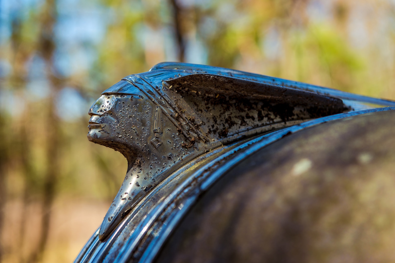 Antique Classic Chrome Indian Head Hood Ornament on A Rusty Vintage