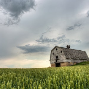 Old Weathered Red Barn Abandoned In A Lush Green Rural Countryside Field, Moody Rural Photo Art - Fine Art Photography Prints, Canvas, Metal